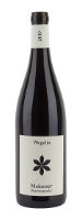 Malanser Blauburgunder
Weingut Wegelin, Malans, AOC Graubünden